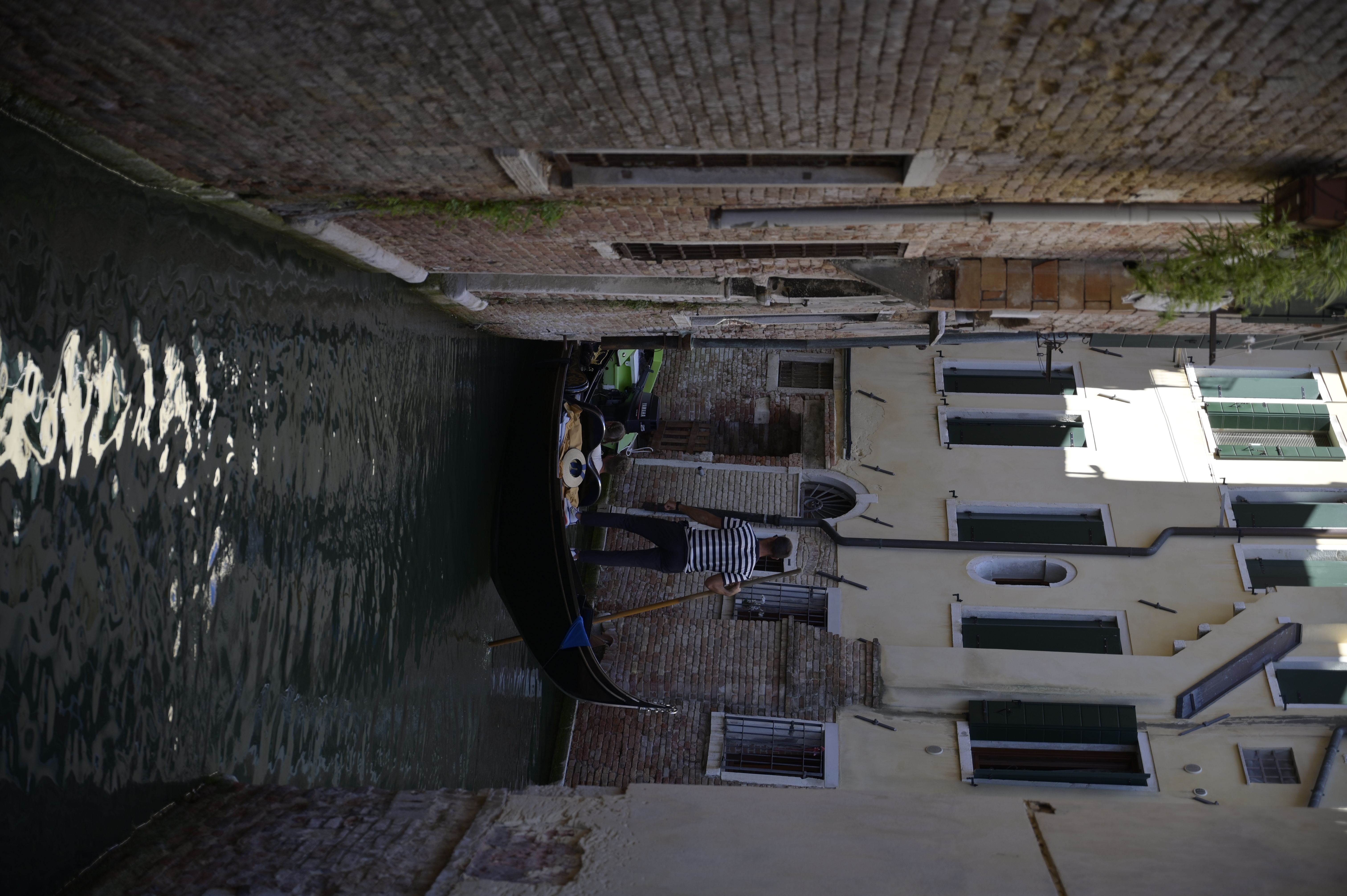 Portraitaufnahme von Abel